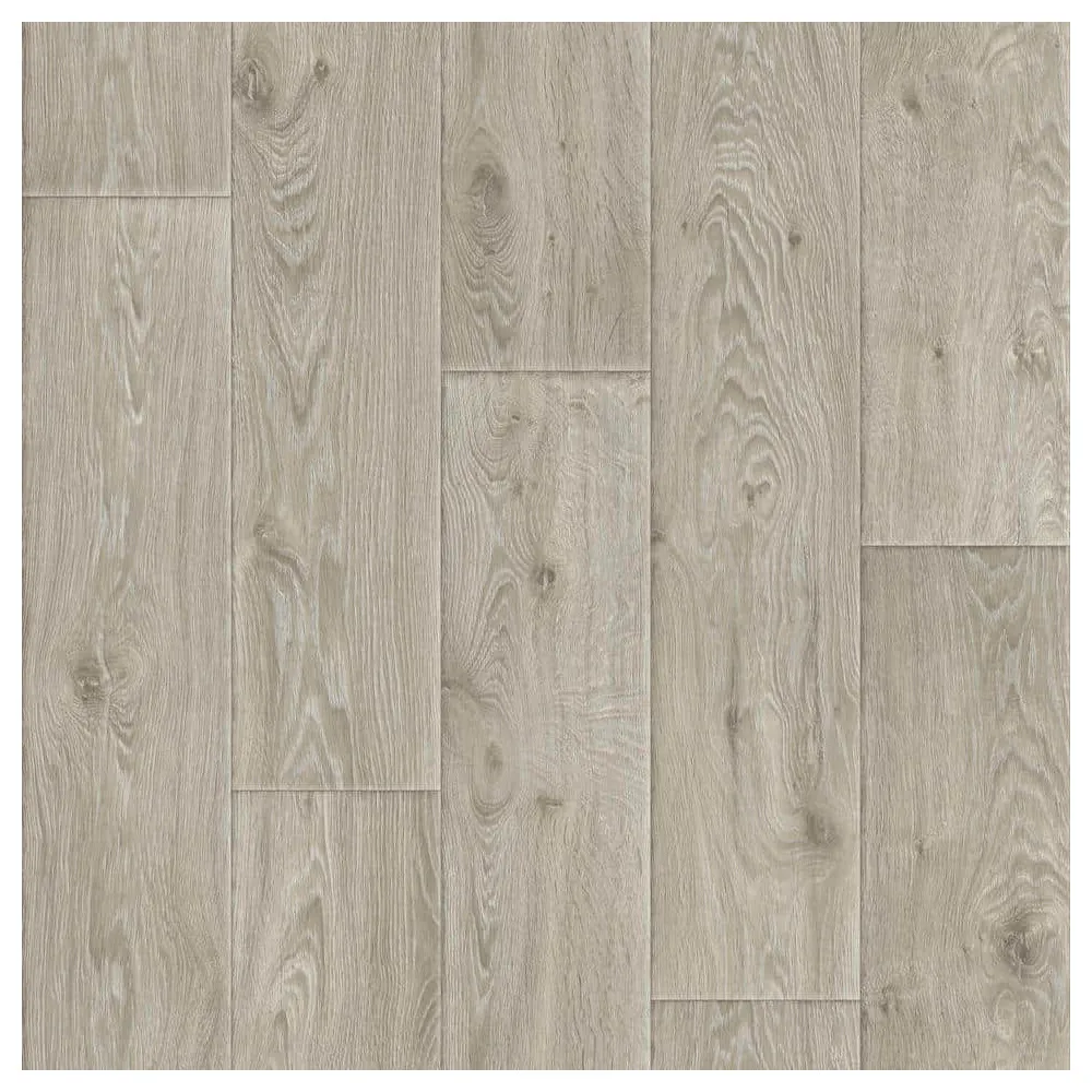 Evolution Raymond 7